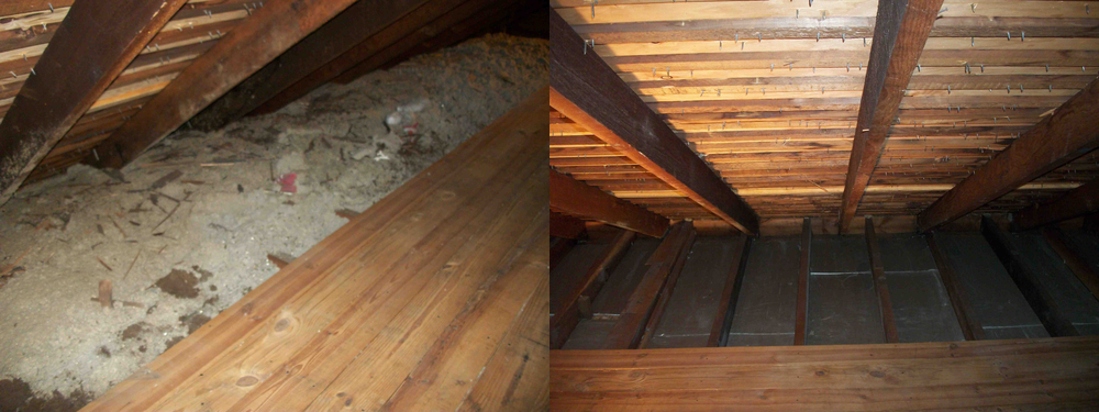 Attic Mold Damage: Before and After